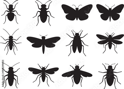 Common Garden Insect and Bug Silhouette Set Icon Bundle Set Line art