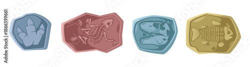 Skeletons of dinosaur and fishes from Jurassic period. Vector fauna and biodiversity of ancient prehistoric times. Extinct dino bones with jaws, claws and long tails. Diversity of prehuman marine life