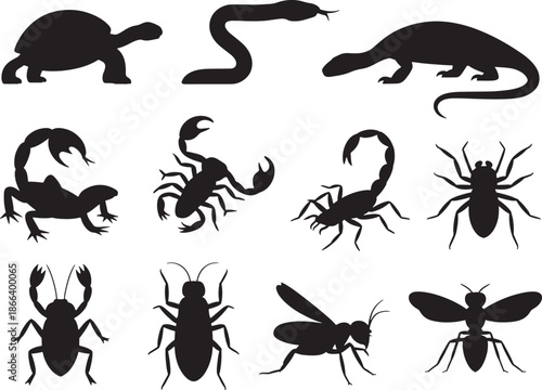 Dangerous Insect and Reptile desert and tropical creatures arranged Silhouette Icons