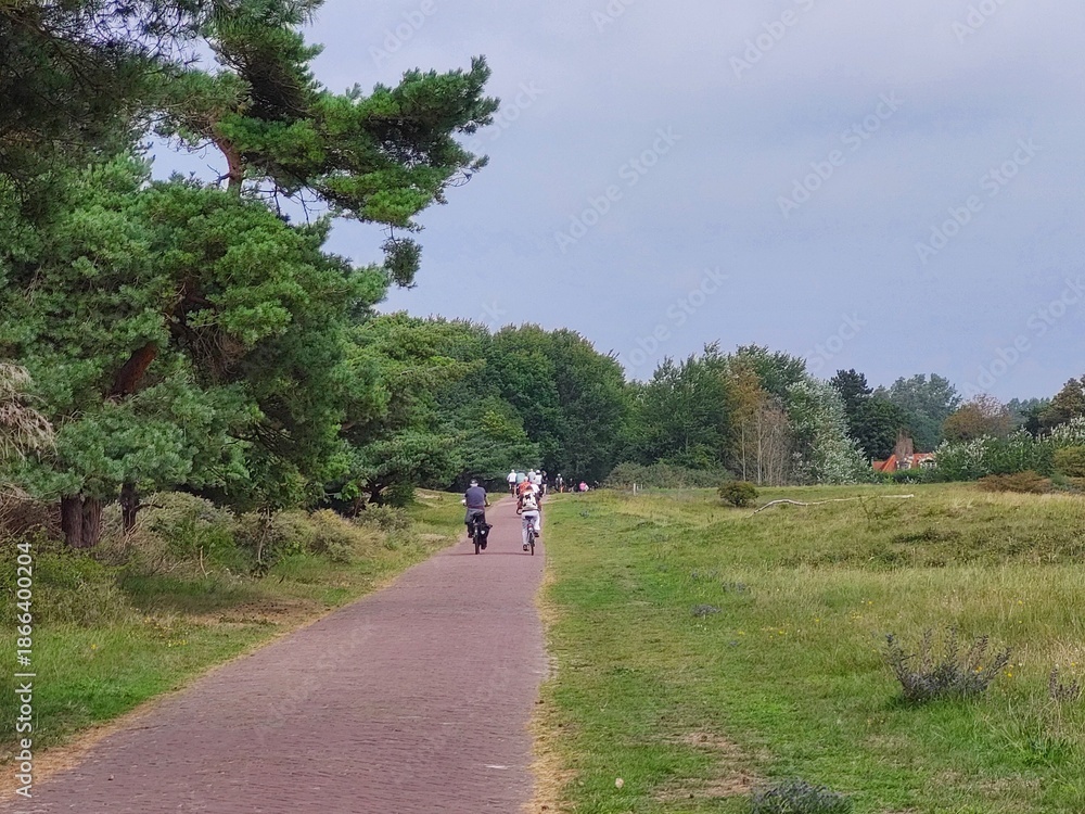 Obraz premium Fahrradwege und Schafe in den Dünen