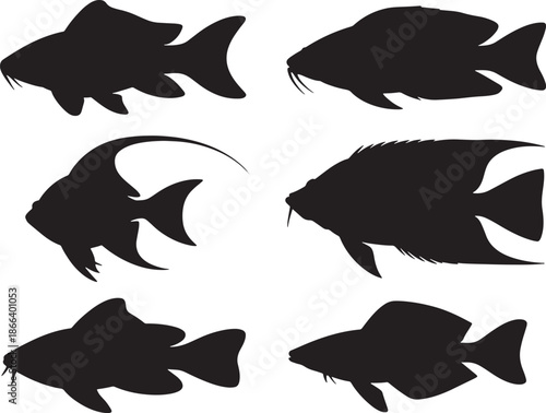 freshwater and tropical Diverse Fish Species Silhouette Collection for Sea Life Icon Bundle Set Line art