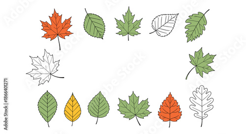 Large assortment of various autumn leaves in different colors and shapes including maple oak and birch foliage.