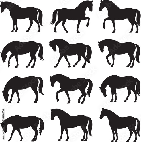 Horse Elegant Poses Dynamic Silhouettes