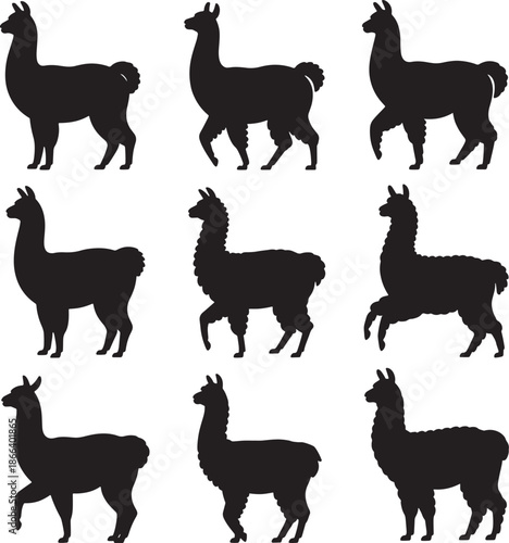 Llama and Alpaca Silhouettes Collection