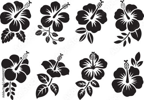 Tropical Hibiscus Flower Silhouettes Collection