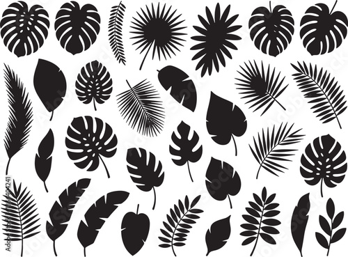 Tropical Leaf Silhouette Set with Monstered and Palm Fronds