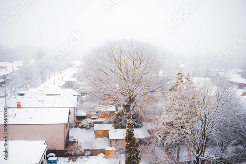 snowy winter in Toronto, Canada
