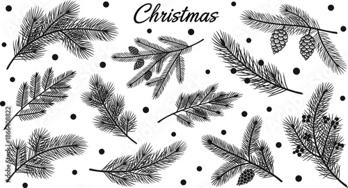 Christmas Pine Branches and Cones Hand Drawn Silhouette Collection Winter Botanical Vector
