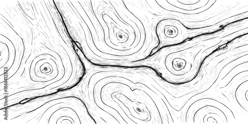 Intricate line art pattern of natural wood grain texture with prominent knots and a fissure