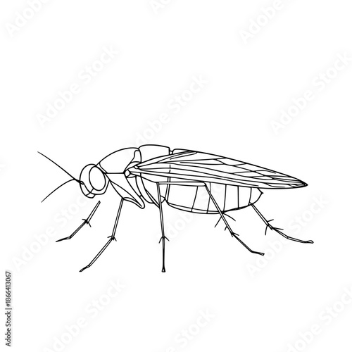 Flea's Flight: Minimalist Line Art Tale Insect Existence | Clean, isolated vector art for creative projects.