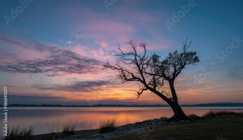 A lone, windswept tree silhouetted against a colorful sunset sky over a still lake