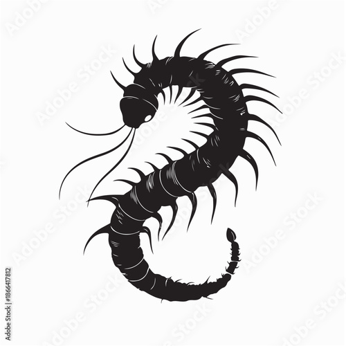 Centipede Vector Images. Centipede Curled Body Coiled in a Spiral Shape Vector