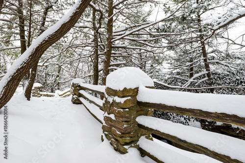 Snowy Winter Scene - Coopers Rock State Forest, West Virginia