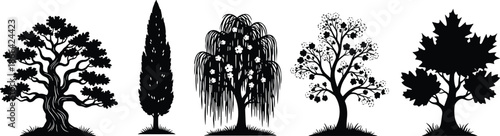 Tree silhouette illustration pack, botanical diversity, foliage shape variety, black vector art, nature design elements, educational plant reference