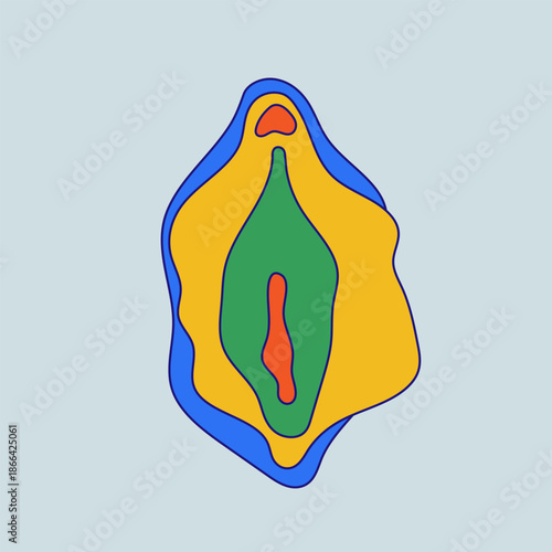 Anatomical colored vulva, vagina diagrams in a clean, educational style. Medical for education, awareness, gynecology, women’s health topics. Beauty, health concept. Female vector reproductive system.