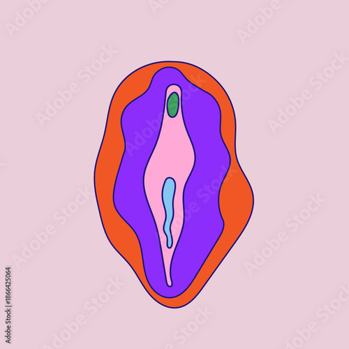 Beauty, health concept. Anatomical vulva, vagina diagrams in a clean, educational style. Female colored reproductive system. Medical for education, awareness, gynecology, women’s health topics.