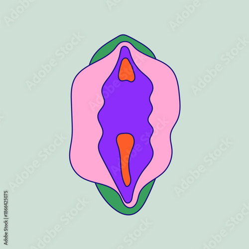 Female colored reproductive system. Anatomical vulva, vagina diagrams in a clean, educational style. Beauty, health concept. Medical for education, awareness, gynecology, women’s health topics.
