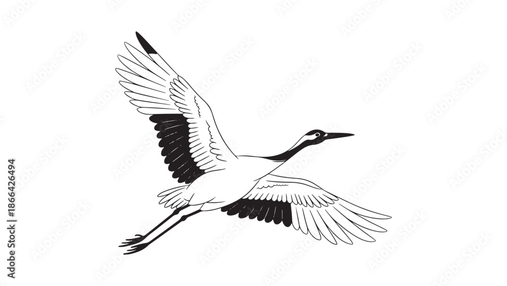 Obraz premium Flying Crane Bird Line Art Vector Illustration