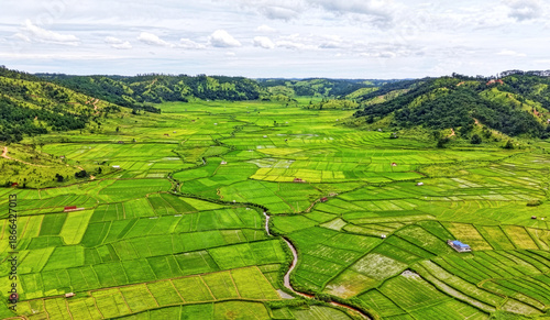An aerial view of a narrow river winding through a patchwork of lush green agricultural fields, revealing intricate land divisions, irrigation patterns, and the vibrant textures of rural farming lands