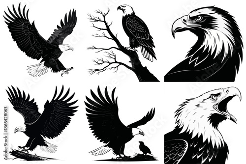  Eagle Silhouette Vector Icon Sheet Black Various Postures Logo Tattoo