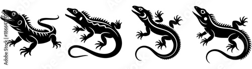 Lizard and Reptile Illustration Set, Hand Drawn Tribal Style Gecko and Salamander Graphics, Black Amphibian Nature Icons for Tropical Wildlife and Exotic Animal Designs