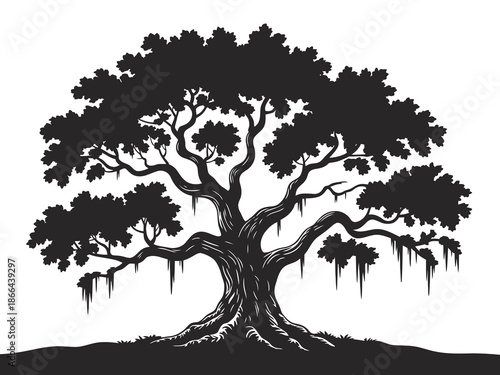 Spanish moss hanging from live oak tree silhouette, vector illustration ideal for southern scenery, natural landscape graphics, botanical study, garden design