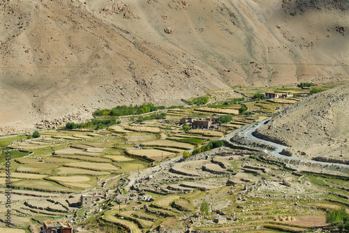 Foto Green agricultural land amongst barren mountains of Leh, Ladakh - image shot from Changla pass