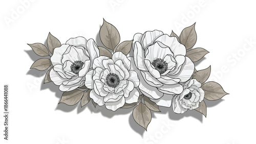 Elegant Hand-Drawn White Anemone Flowers with Brown Leaves Illustration