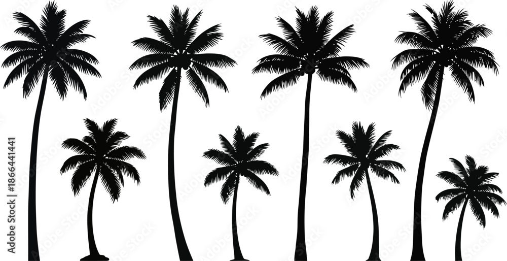 Fototapeta premium Set of Silhouette Palm Trees on White Background