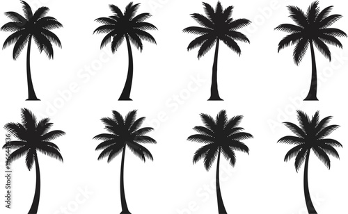 Set of 8 Black Silhouette Palm Trees Vector Illustrations on White Background