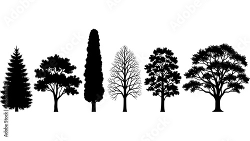 Diverse Collection of Tree Silhouettes Nature s Variety in Black and White