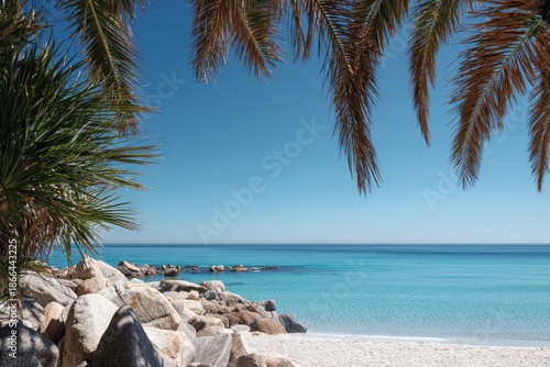 Tropical beach scene with palm fronds, turquoise water, and rocky shoreline