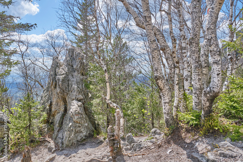 Spring landscape with birch trees and rocky outcrop in Taganay national park, Russia