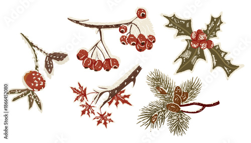 Winter botanical set with frozen branches, berries, leaves and pine cones in hand drawn vector style isolated on white background. The illustration represents winter nature, seasonal decoration