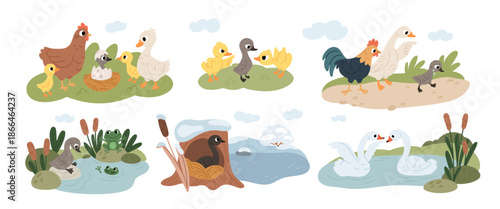 Lonely ugly duckling life scenes. Cartoon birds characters in pond, duck family story, bullying and ridicule, strange appearance, fairy tale illustration, seasonal change garish vector set