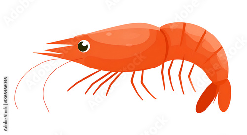 Cartoon illustration of a cooked, orange shrimp with long antennae and a dark background