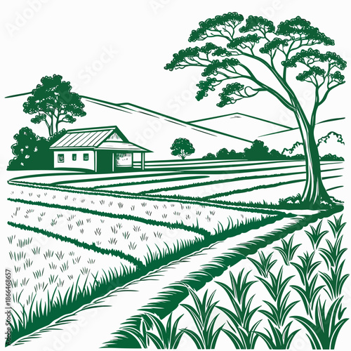 Rural farmhouse in lush fields