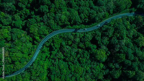 Forest road, road in beautiful autumn forest at sunset, trees with red and orange leaves, Beautiful landscape view from flying drone in Nature, Rainforest ecosystem, electric car driving, EV green,