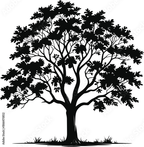 A mature broadleaf tree illustrated in black and white vector style, full rounded canopy, clean silhouette, solid black shapes, no gradients, Adobe Stock safe 2