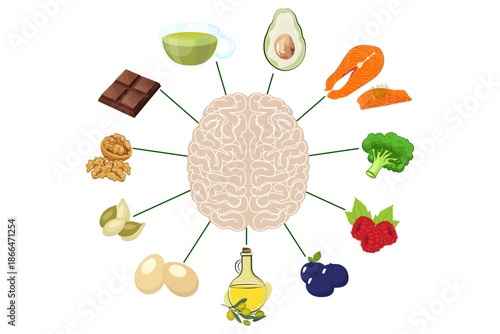 Brain Health and Superfoods. A human brain with icons of healthy foods like green tea, avocado, berries, salmon, and nuts for improved cognitive function and nutrition.