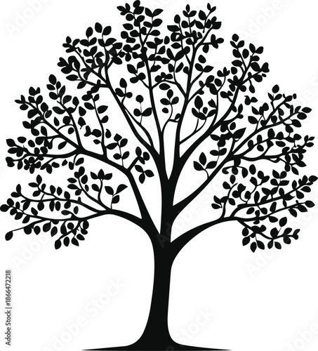 Generic tree silhouette drawn as monochrome vector, balanced branches, dense foliage shape, flat design, no textures or shading, isolated on white background 3