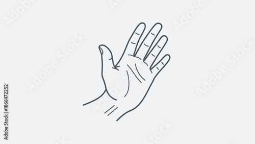 Open hand showing palm, in bright studio.