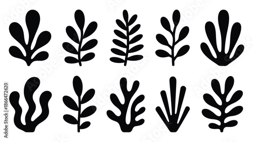 Collection of nine unique black leaf silhouettes on white background for design and decoration purposes with black leaves and design elements