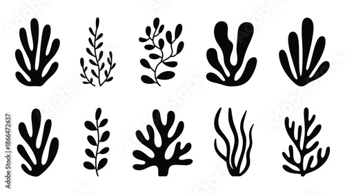 Collection of black sea leaf silhouettes on white background for graphic design and decoration with black and white and marine life and seaweed