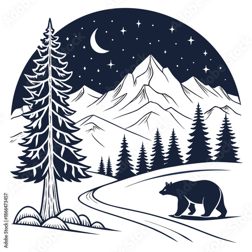 Bear walking in mountain forest at night