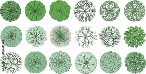 Set of green tree top view symbols for landscape architectural plan, vegetation line art icons for garden design and urban mapping.
