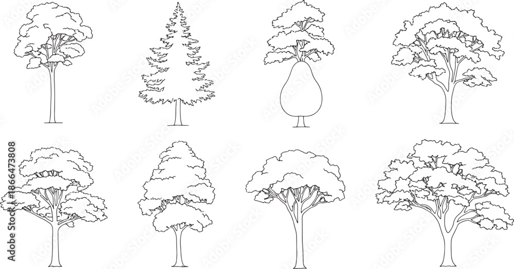 Obraz Set of tree elevation line art symbols for architectural sections, minimalist front view vegetation outlines for landscape drawing and site sketches.