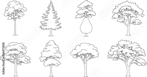 Set of tree elevation line art symbols for architectural sections, minimalist front view vegetation outlines for landscape drawing and site sketches.