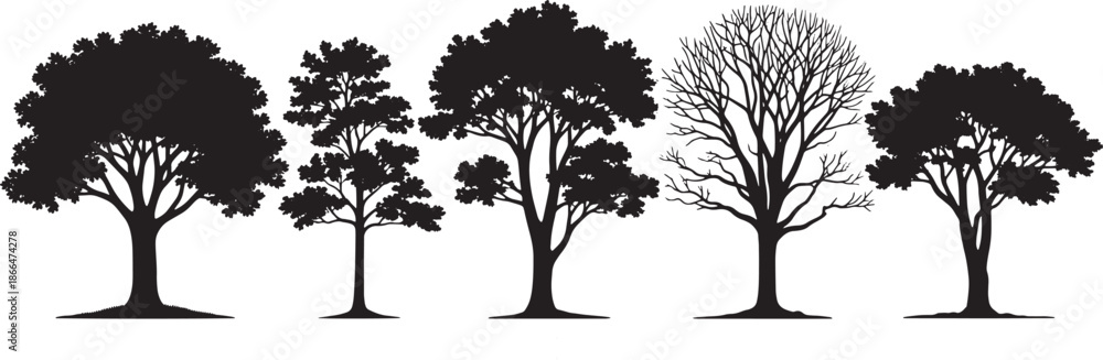 Fototapeta premium Set of black tree silhouettes for architectural elevation, minimalist forest and park vegetation icons for landscape design and site sections.