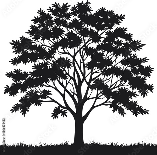 A mature broadleaf tree illustrated in black and white vector style, full rounded canopy, clean silhouette, solid black shapes, no gradients, Adobe Stock safe